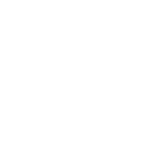 Nyu lgo